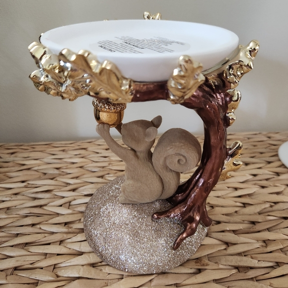 🌰New Bath and Body Works Squirrel Fall 3 Wick Candle Holder & Candle Decor 2024 - Picture 5 of 10